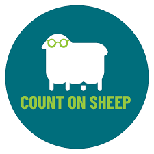 [COUNT ON SHEEP] How to File Crypto Taxes: Your Essential 2025 Guide
